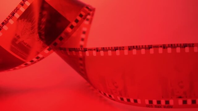 35mm negative photographic film in rotation in red room, camera darkroom. Slightly rolled film strip isolated on red background. Analog film strips. Analog photography. Close-up