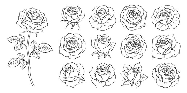 Rose Flower Line Art Set with Delicate Outlines, Stems, Leaves and Hand-Drawn Tattoo Style for Invitations and Decor