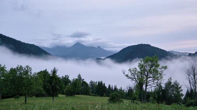 Ground-Level Timelapse of Low Fog Rolling Through Mountain Valley with Rocky Peak and Green Meadow