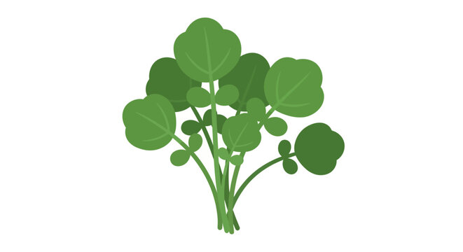 Fresh green watercress bundle flat vector illustration
