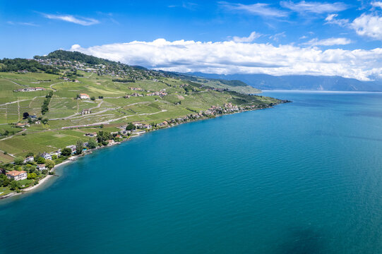 Aerial view of the terraced vineyards of Lavaux along the shores of Lake Geneva with houses and turquoise water under a blue sky in Lutry, Vaud, Switzerland.