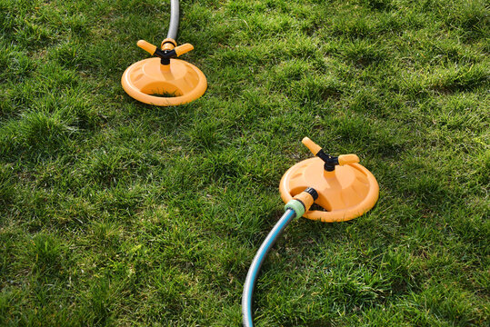 Two yellow oscillating sprinklers water a lush green lawn in a backyard garden. Backyard garden sprinklers irrigate grass on a bright summer day, evoking spring and summer holidays.