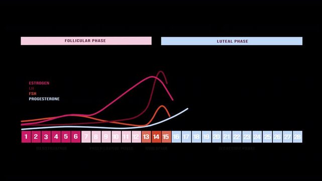 Animated Graph of Hormonal Changes during the Menstrual Cycle with Transparent Background