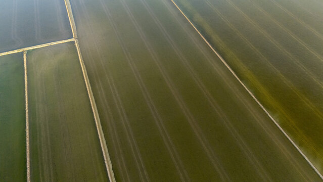 Aerial view of the geometric patterns of agricultural fields and irrigation lines at Isla Minima, Coria del Rio, Andalusia, Spain.