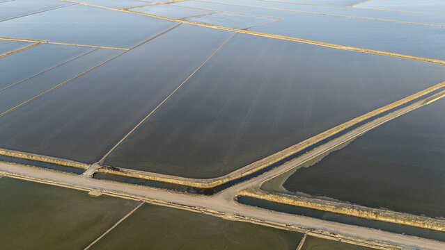 Aerial view of the flooded rice fields of Isla Minima with geometric patterns and dirt roads under soft light in Coria del Rio, Andalusia, Spain.