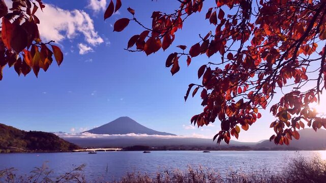 河口湖から見た秋の富士山　