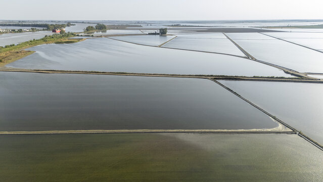 Aerial view of the flooded rice fields of Isla Minima with rectangular water plots and narrow paths under a clear sky in Coria del Rio, Andalusia, Spain.