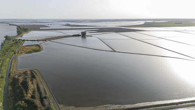 Aerial view of the flooded rice fields of Isla Minima with reflecting water and irrigation canals in Coria del Rio, Andalusia, Spain.