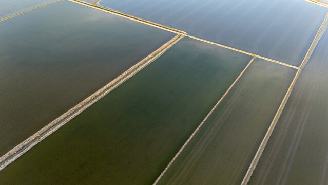 Aerial view of flooded rice fields at Isla Minima with geometric patterns and water reflections Coria del Rio, Andalusia, Spain.