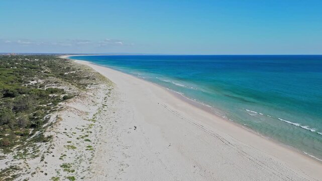 Aerial view of empty sandy beach and turquoise sea along forested coastline in sunlight