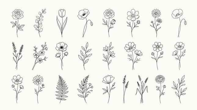 Black and white floral line drawings.