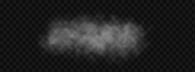 Steam smoke png with drifting mist clouds, abstract vapor effect, powder dust texture, transparent background and chemical environment illustration design. © NADIIA
