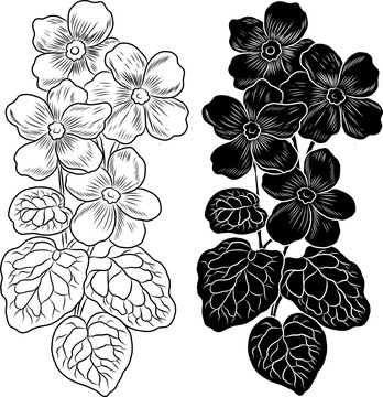 Branch of flower vector for tattoo style on isolated white background.Peach blossom illustration for coloring book.Beautiful line art blossom for doodle.Asian flower vector for card and background