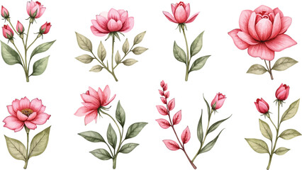 Fototapeta premium Watercolor Pink Roses and Delicate Floral Sprigs Pattern with Soft Garden Blooms.