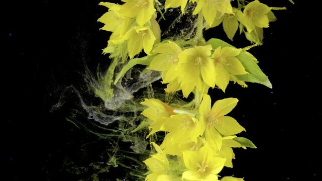 Vibrant yellow blooms cascading through green ink plumes, energetic motion and vivid color contrast against black backdrop, bold botanical study with fluid