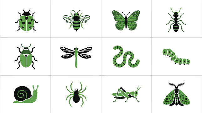 Collection of twelve stylized green insects and bugs including a ladybug, bee, butterfly, ant,.