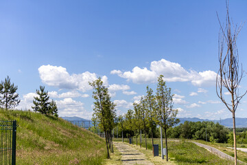 Obraz premium Empty Stone Slab Pedestrian Pathway Winding Through Green Park