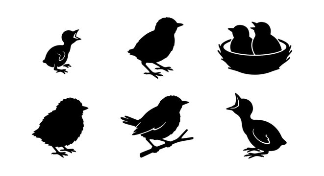 Bird Silhouettes, Baby Birds, Nestlings, Chicks, Avian Life, Nature Elements, Vector Icons