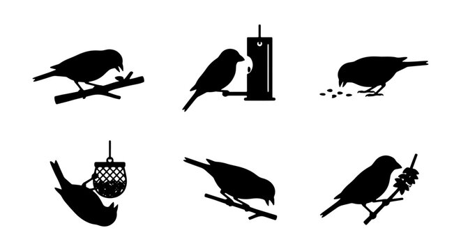 Bird Silhouettes: Feeding, Perching, and Nesting Vector Icons Set, Avian Wildlife Graphics for Nature and Ornithology