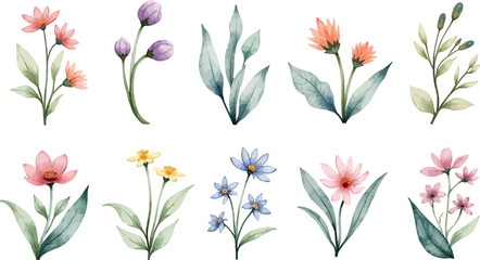 Fototapeta premium Watercolor bouquet of assorted flowers and leaves in soft pastel tones.