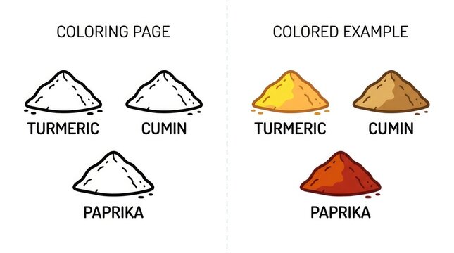 Turmeric Cumin and Paprika Coloring Page and Colored Examples.