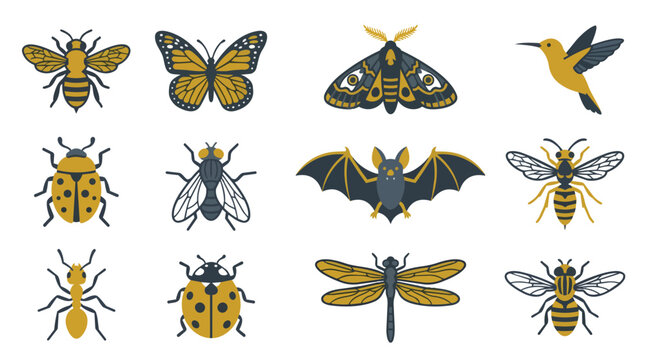 Collection of stylized insects and a hummingbird shown in flat graphic style.