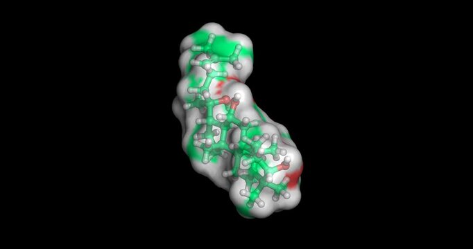 Protopanaxadiol, ginseng molecule for neuroprotective support and metabolic health, 3D molecule spinning, 4K