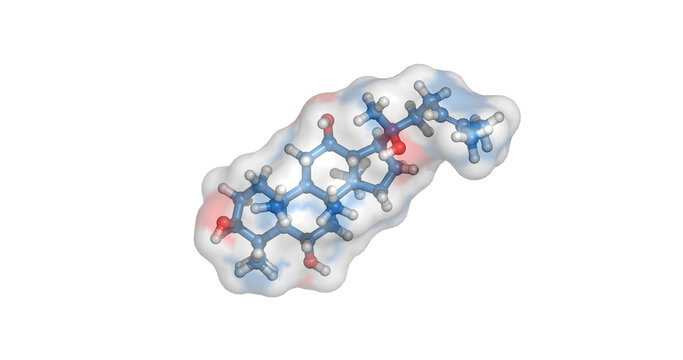 Protopanaxatriol, ginseng molecule for cognitive enhancement and antioxidant support, 3D molecule 4K