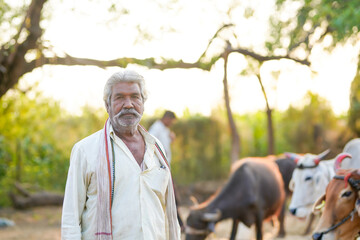 An elderly farmer stands in a rural farmyard with buffaloes in the background © PRASANNAPIX