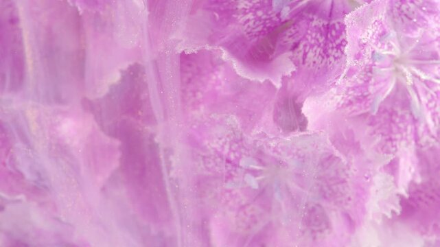 Soft pink petals in milky wash, gentle liquid motion softens ruffled edges, hazy pastel palette with subtle texture and calm rhythm, cinematic macro for beauty