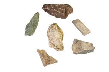 Collection of ancient fossils and rocks arranged on a white background © dimas830