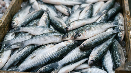 Obraz premium fresh fish