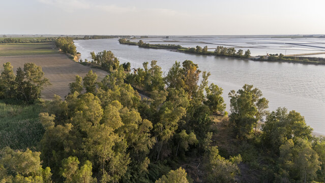 Aerial view of the Guadalquivir river flowing past lush green trees and agricultural fields under a clear sky in Coria del Rio, Andalusia, Spain.