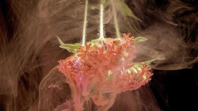 Expressive image of hanging blooms with artistic ink accents. Dramatic studio shot highlighting suspended blossoms intertwined with ink and rope elements