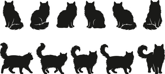 Cat silhouette illustration with sitting and walking poses, fluffy fur details, curled tails, and decorative feline vector elements © Sheikh