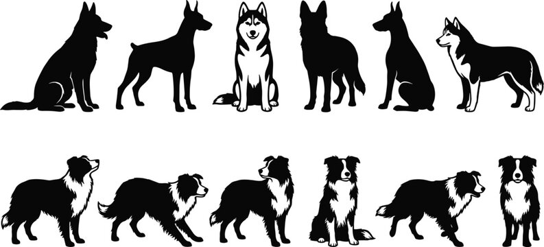 Dog silhouette illustration with German Shepherd, Husky, Collie, Australian Shepherd, sitting, standing, walking, and furry vector elements