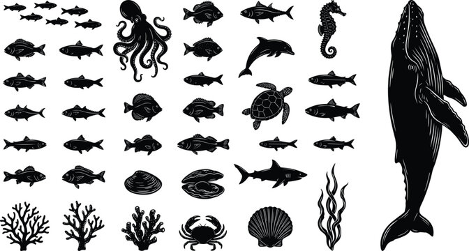 Marine animal silhouette illustration with fish, dolphin, whale, shark, octopus, turtle, seahorse, crab, coral, and ocean vector elements