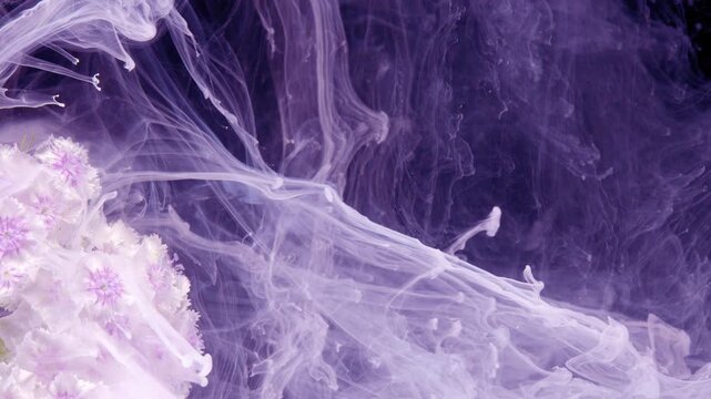 Violet hydrangea surrounded by dramatic smoke, thick purple plumes curl and swell around textured petals, deep contrast and cinematic slow motion for editorial,