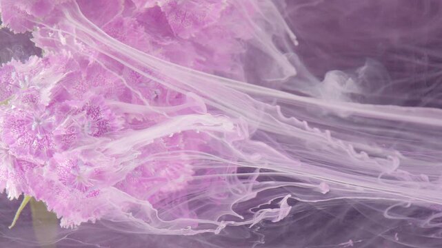 Lavender hydrangea engulfed in swirling ink, white plumes wrap around textured petals with energetic liquid motion, moody purple backdrop, highspeed dynamics