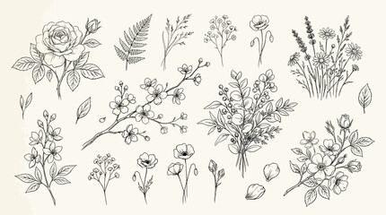 Fototapeta premium Collection of various wildflower botanical illustrations.
