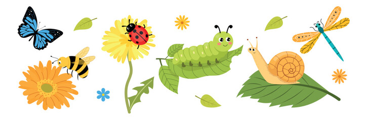 Cute insects vector set, funny garden bugs collection with butterfly, bee, snail, caterpillar and ladybug isolated on white background. © Nadiia