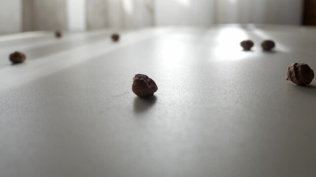 Hand scatters dried tiger nuts across a white indoor surface in natural light