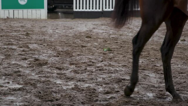 A detail shot capturing the lower legs and hooves of a thoroughbred racehorse as it walks along a wet dirt track, kicking up clumps of mud in the sloppy conditions.