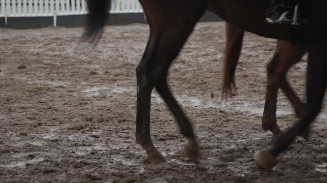 A tight close-up shot capturing the hooves and lower legs of thoroughbred racehorses trudging through thick mud on a wet dirt track, highlighting the challenging and sloppy track conditions during a r