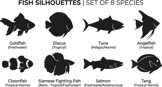 Set of fish species silhouettes aquatic animal icon collection with silhouette wildlife underwater goldfish angelfish clownfish tropical collection creature swimming biodiversity freshwater