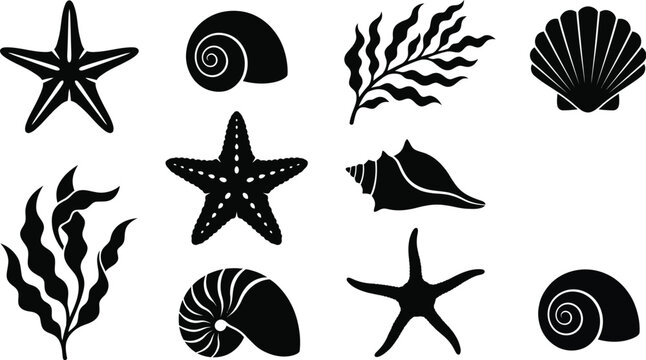 Collection of black silhouettes of seashells starfish and seaweed with seashell starfish silhouette underwater collection isolated illustration vacation seashore creature