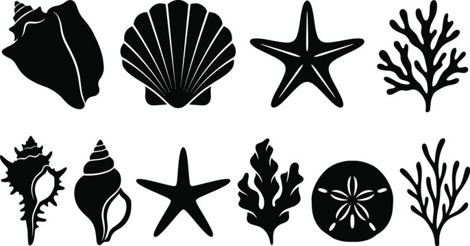 Set of isolated black silhouette seashells and marine life forms with seashell silhouette starfish nautical sanddollar collection underwater creature illustration isolated tropical seashore