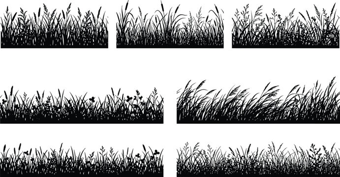 Collection of various black grass silhouette border designs with silhouette landscape grassland vegetation botanical greenery isolated background collection environment illustration