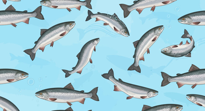 Seamless pattern with Atlantic salmon fish swimming in blue water illustration