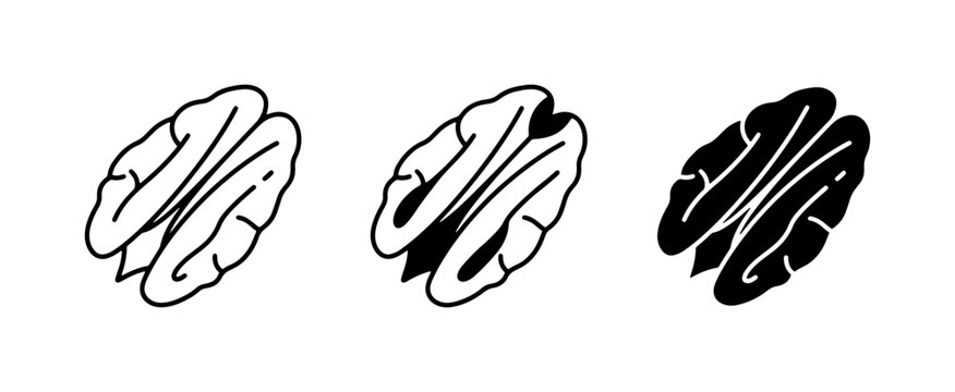 Pecan Halves Icons, Simple Line Art and Silhouette, Food Graphics
